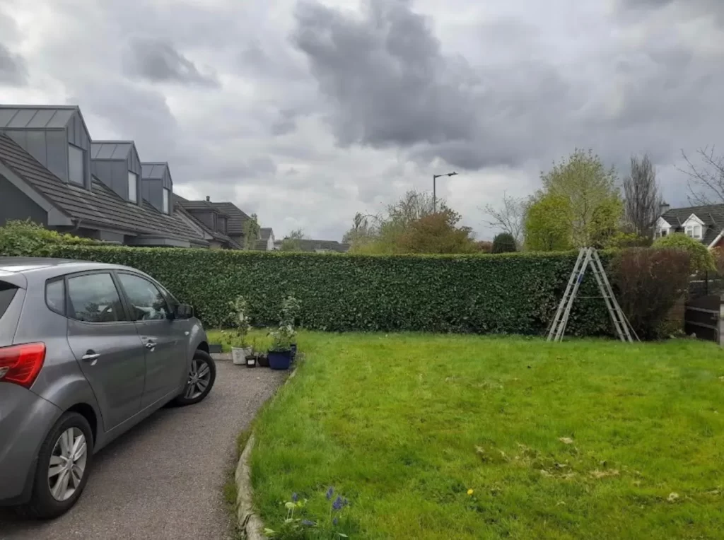 Expert Fencing Services in Claremorris