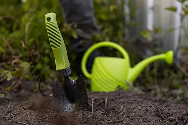 Garden Maintenance Mayo