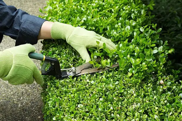 Hedge Cutting Galway