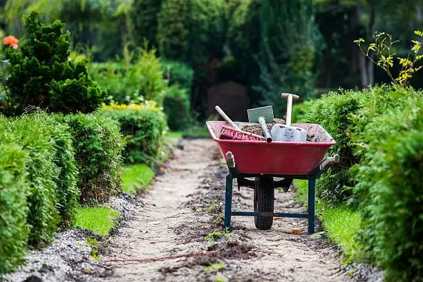 Garden Maintenance Clare