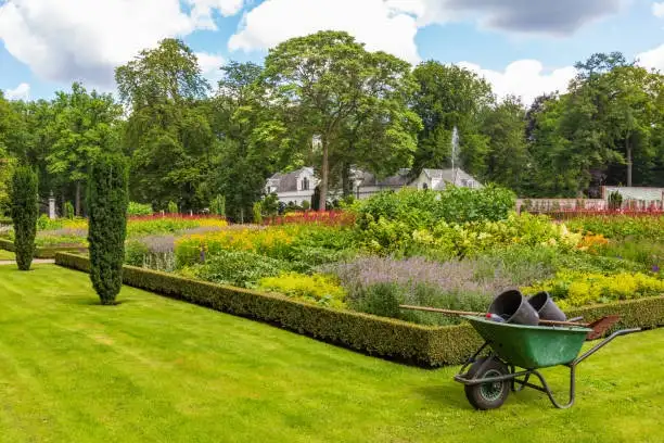 Garden Maintenance Galway