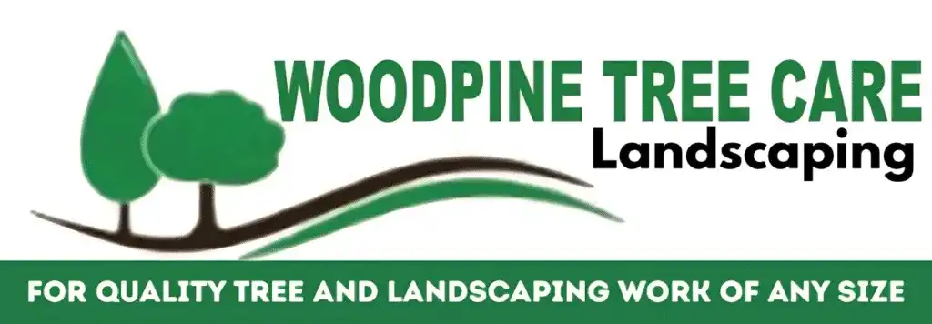 Why Choose Woodpine Tree Services Galway