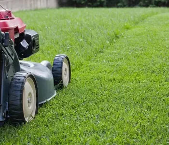 Lawn Care Services Garden Maintenance Clare
