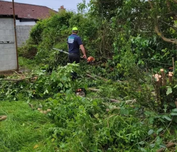 Overgrown Garden Clearance Garden Maintenance Clare