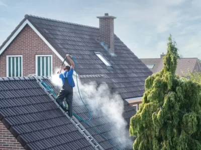 Roof Cleaning 3